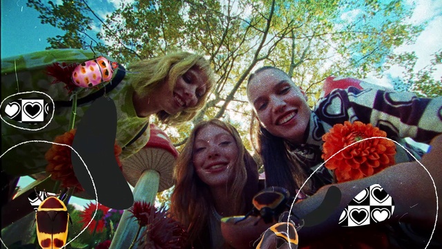 Video Reference: Smile, Plant, Tree, Happy, Sunglasses, Social group, Community, Cool, Fun, Eyewear