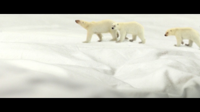 Video Reference: Polar bear, Carnivore, Snow, Terrestrial animal, Ice cap, Drink, Polar ice cap, Bear, Snout, Arctic ocean