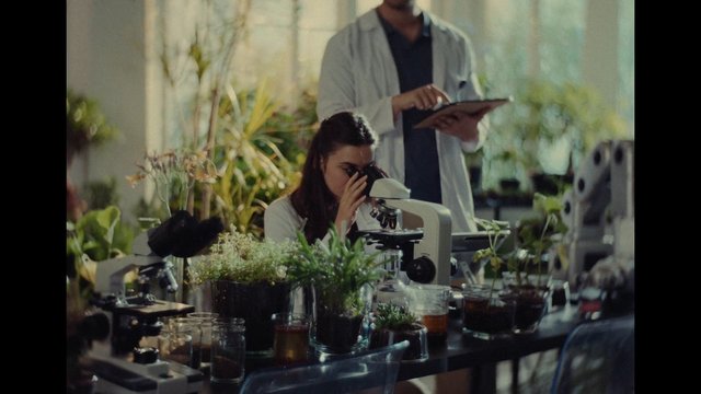 Video Reference: laboratory, microscope, science, research, plant, botany, analysis, experiment, workplace, clipboard, teamwork, indoor, education, study, biology, table