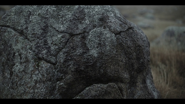 Video Reference: Bedrock, Grey, Artifact, Trunk, Font, Grass, Tree, Outcrop, Formation, Art