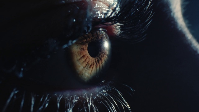 Video Reference: Eyelash, Iris, Electric blue, Darkness, Macro photography, Circle, Flesh, Science, Terrestrial animal, Whiskers