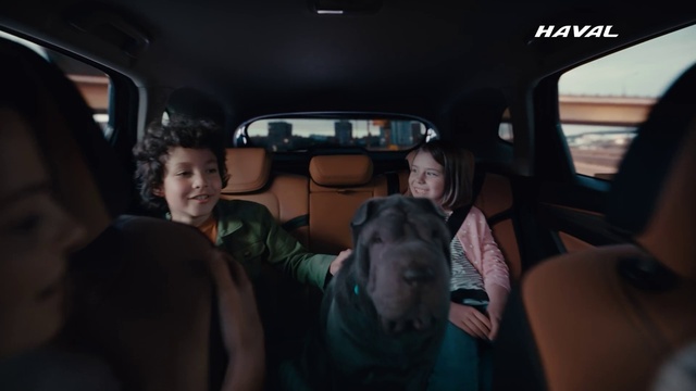 Video Reference: Smile, Car, Motor vehicle, Vehicle, Vehicle door, Head restraint, Automotive design, Car seat cover, Automotive exterior, Personal luxury car