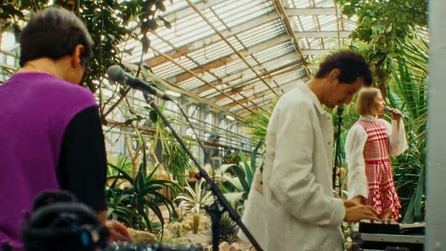 Video Reference: Shirt, Plant, Botany, Temple, Organism, Greenhouse, Public space, Leisure, Adaptation, Tree