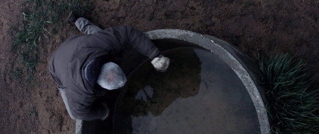 Video Reference: Water, Automotive tire, Asphalt, Road surface, Tree, Road, Automotive wheel system, Concrete, Soil, Circle