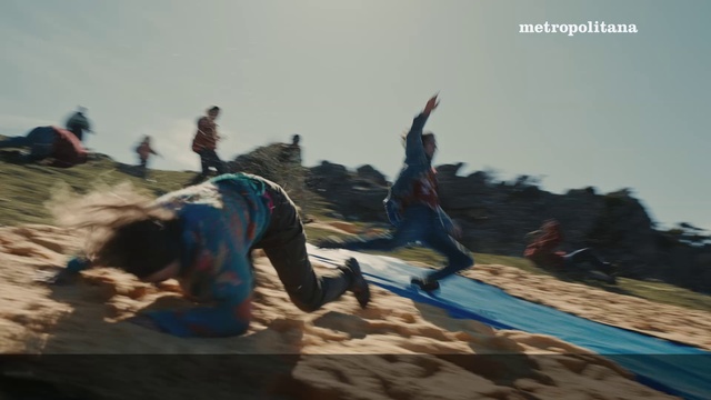 Video Reference: Sky, Ecoregion, Leisure, Landscape, Wood, Fun, Sand, Tree, Soil, Recreation