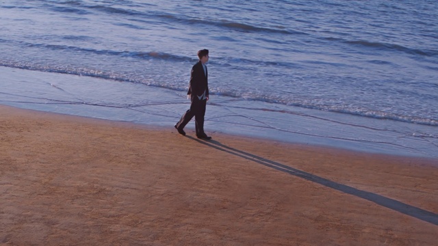 Video Reference: Water, Beach, Tree, Coastal and oceanic landforms, People on beach, Horizon, Recreation, Wind wave, Sand, Leisure