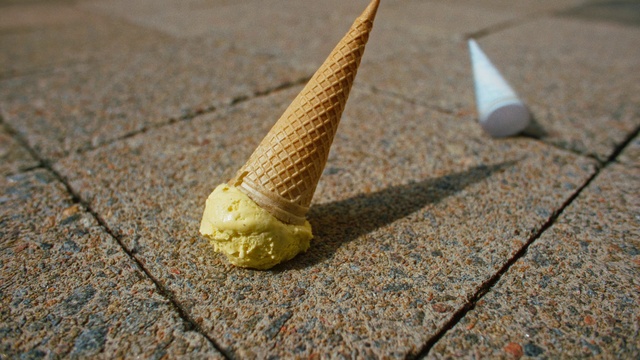 Video Reference: Window, Wood, Road surface, Asphalt, Snail, Cone, Snails and slugs, Grass, Terrestrial animal, Soil