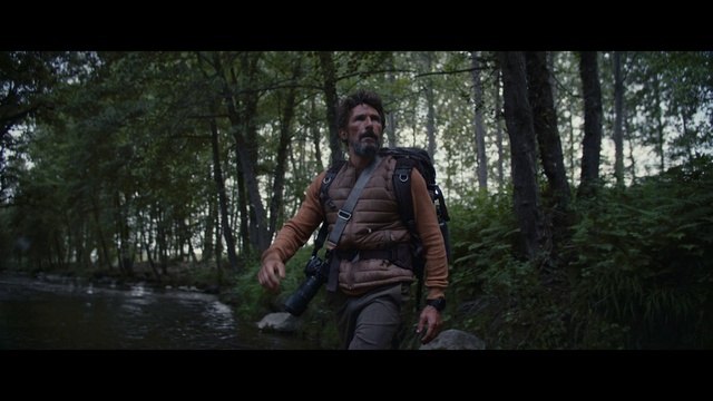 Video Reference: Plant, Tree, Flash photography, People in nature, Terrestrial plant, Wood, Grass, Forest, Darkness, Beard