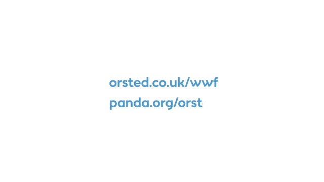 Video Reference: Font, Electric blue, Brand, Parallel, Rectangle, Logo, Graphics