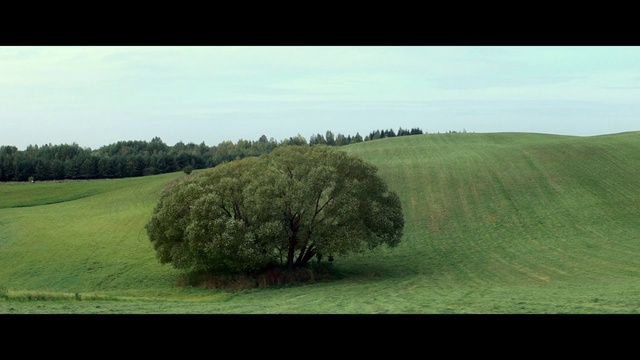 Video Reference: Sky, Plant, Tree, Natural landscape, Cloud, Grass, Grassland, Plain, Tints and shades, Landscape