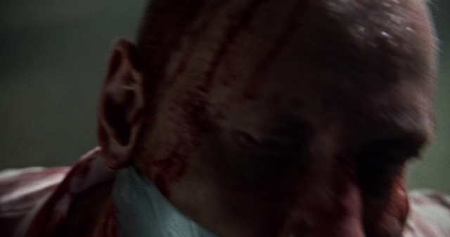 Video Reference: Human body, Eyelash, Jaw, Ear, Gesture, Fawn, Felidae, Whiskers, Snout, Small to medium-sized cats