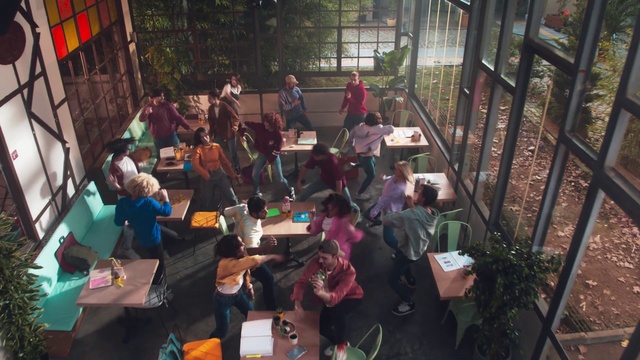 Video Reference: Plant, Chair, Organism, Interaction, Leisure, Crowd, Recreation, City, Event, Fun