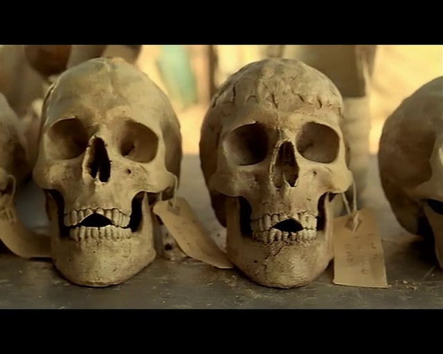 Video Reference: Head, Bone, Jaw, Organism, Skull, Art, Close-up, Anthropology, Still life photography, Composite material