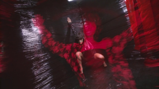 Video Reference: Plant, Flash photography, Purple, Entertainment, Performing arts, Pink, Magenta, Tints and shades, Cg artwork, Tree