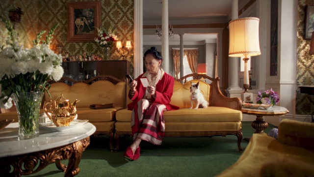 Video Reference: Furniture, Property, Couch, Table, Comfort, Plant, Picture frame, Lighting, Lamp, Decoration