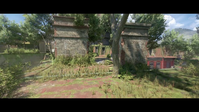 Video Reference: Plant, Tree, Natural landscape, Sky, Wood, Land lot, Sunlight, Grass, Landscape, Grass family