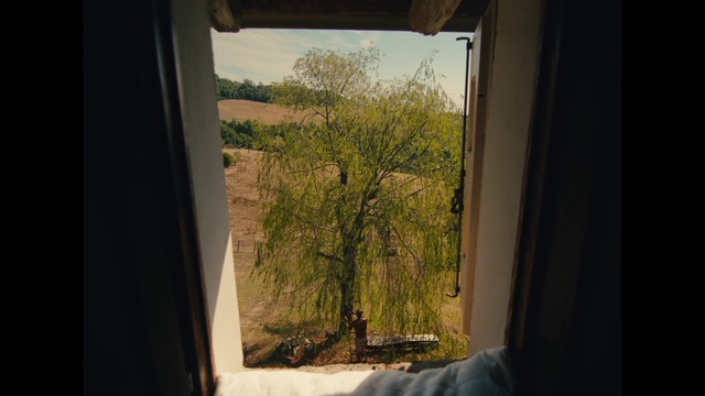 Video Reference: Plant, Window, Wood, Shade, Building, Tree, Interior design, Sunlight, House, Door