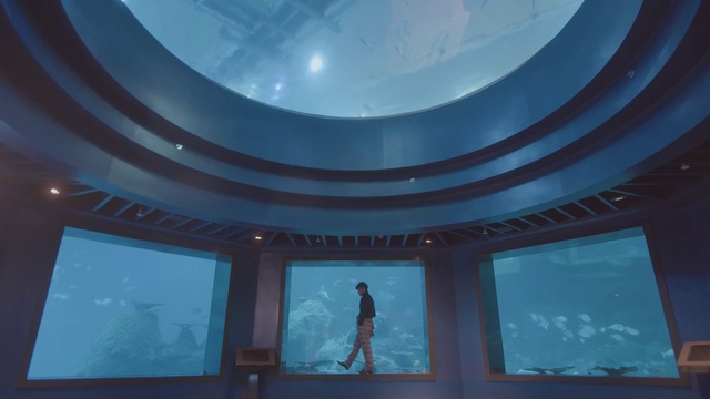 Video Reference: Blue, Azure, World, Water, Lighting, Sky, Aqua, Ceiling, Building, Electric blue