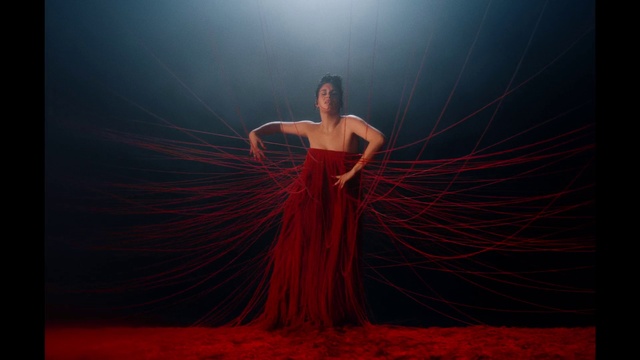 Video Reference: People in nature, Flash photography, Sky, Art, Magenta, Electric blue, Event, Tree, Darkness, Formal wear