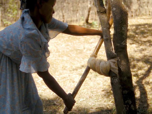 Video Reference: Water, People in nature, Grass, Happy, Leisure, Recreation, Fun, Soil, Wood, Shorts