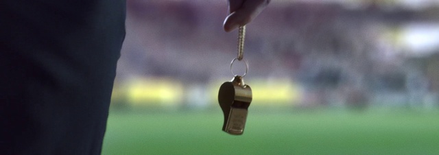 Video Reference: Plant, Sky, Grass, Wood, Tree, Twig, Jewellery, Tints and shades, Body jewelry, Close-up