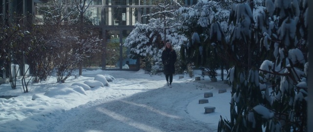 Video Reference: Snow, Branch, Plant, Tree, Window, Twig, Atmospheric phenomenon, Freezing, Neighbourhood, Tints and shades