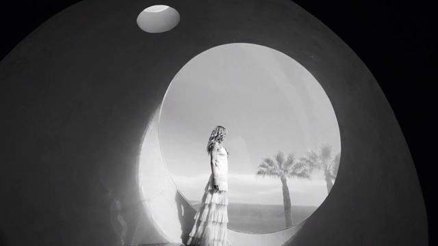 Video Reference: Atmosphere, Eye, Water, Sky, Plant, Flash photography, Black-and-white, Style, Dress, Tree