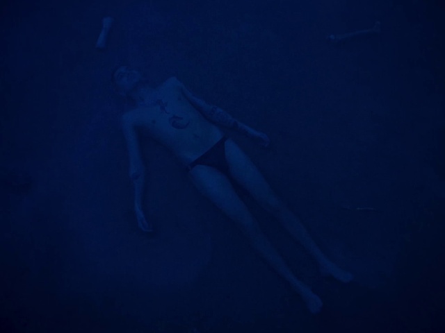 Video Reference: Water, Underwater, Underwater diving, Flash photography, Marine biology, Electric blue, Art, Recreation, Darkness, Cartilaginous fish