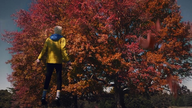 Video Reference: Plant, People in nature, Leaf, Branch, Orange, Natural landscape, Tree, Grass, Deciduous, Sky
