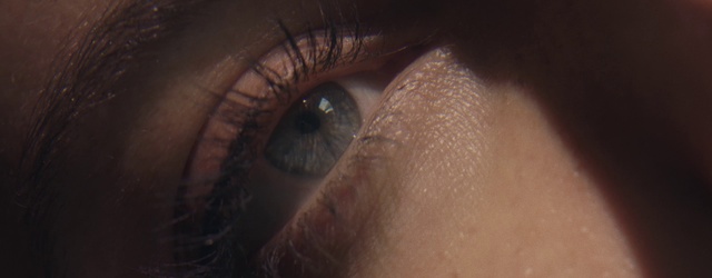 Video Reference: Nose, Brown, Eye, Eyelash, Human body, Iris, Wrinkle, Nerve, Snout, Whiskers