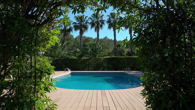 Video Reference: Water, Plant, Property, Building, Azure, Swimming pool, Chair, Sky, Tree, Body of water