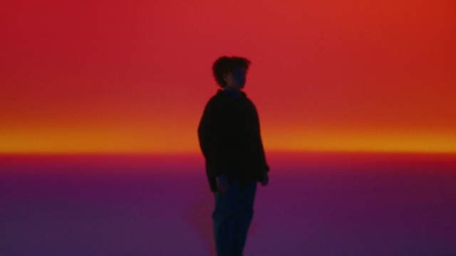 Video Reference: Sky, People in nature, Dusk, Gesture, Afterglow, Body of water, Sunset, Sunrise, Happy, Horizon