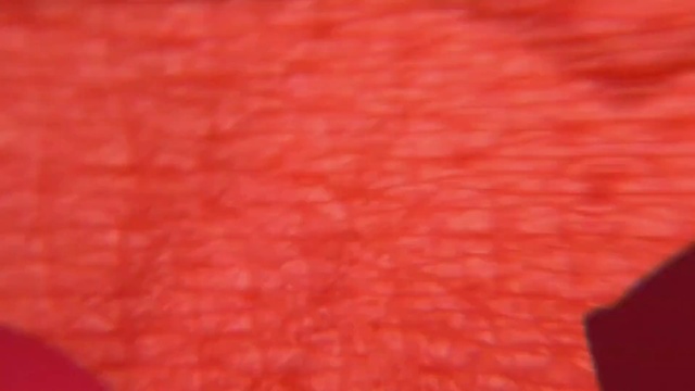 Video Reference: Wood, Tints and shades, Pattern, Peach, Magenta, Rectangle, Carmine, Electric blue, Flooring, Wool