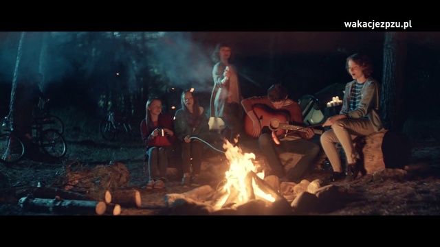 Video Reference: Bonfire, Fire, Sky, Flame, Campfire, Heat, Entertainment, Event, Recreation, Fun