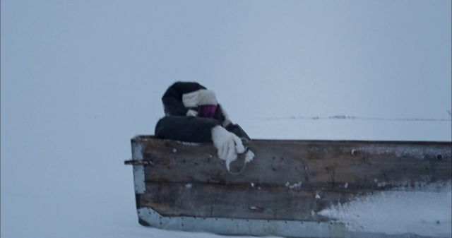 Video Reference: Sky, Carnivore, Snow, Bench, Winter, Penguin, Snowy owl, Freezing, Sitting, Ice cap