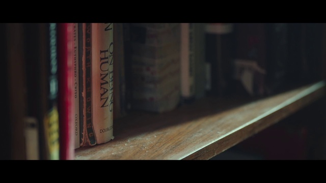 Video Reference: Bookcase, Shelf, Publication, Wood, Book, Shelving, Font, Tints and shades, Darkness, Hardwood