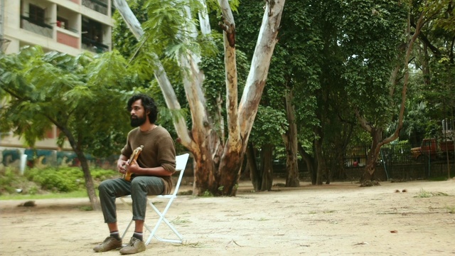 Video Reference: Plant, Tree, Arecales, Woody plant, Leisure, Adaptation, Trunk, Terrestrial plant, Grass, Wood