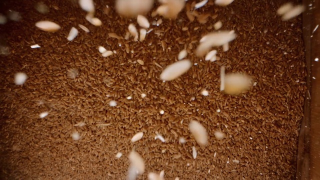 Video Reference: Brown, Grass, Soil, Sand, Petal, Mixture, Chemical compound, Shadow, Font, Circle