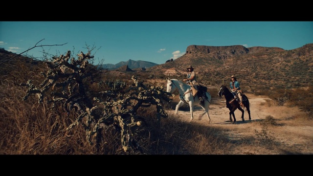 Video Reference: Horse, Sky, Ecoregion, Plant, Working animal, Natural landscape, Mountain, Landscape, Travel, Mountainous landforms