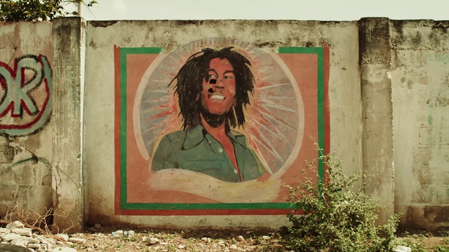 Video Reference: Hair, Plant, Eye, Leaf, Temple, Wood, Paint, Wall, Painting, Art