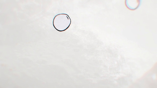 Video Reference: Font, Circle, Slope, Symbol, Electric blue, Number, Rectangle, Pattern, Symmetry, Carmine