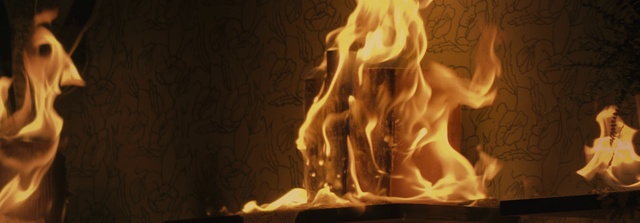Video Reference: Flame, Wood, Art, Heat, Fire, Sculpture, Gas, Event, Darkness, Visual arts