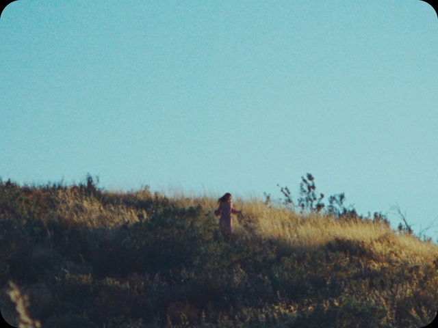Video Reference: Sky, Plant, Ecoregion, Azure, Natural environment, Rectangle, Grass, Biome, Natural landscape, Wood