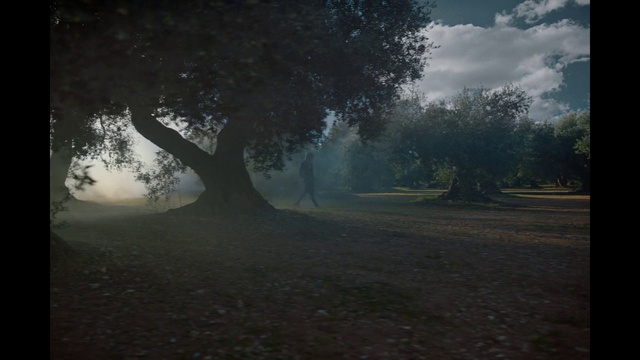 Video Reference: Atmosphere, Sky, Plant, Cloud, Natural landscape, Tree, Wood, Trunk, Atmospheric phenomenon, Road surface