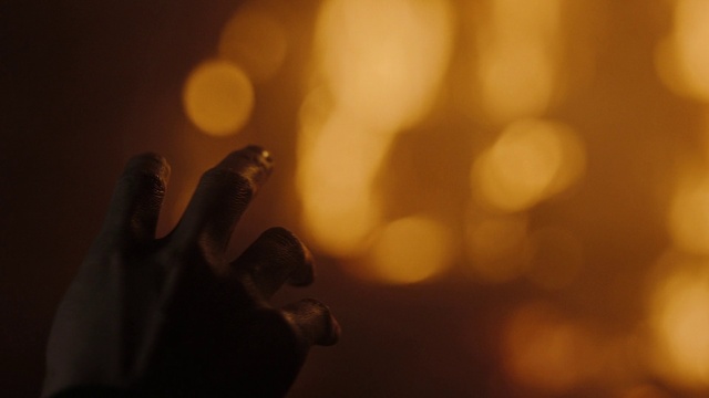 Video Reference: Cloud, Sky, Flash photography, Gesture, People in nature, Lens flare, Plant, Tints and shades, Heat, Backlighting