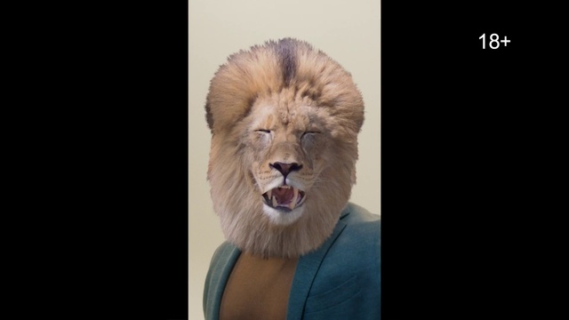 Video Reference: Felidae, Human body, Jaw, Carnivore, Whiskers, Big cats, Lion, Fang, Masai lion, Terrestrial animal