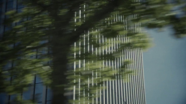 Video Reference: Water, Terrestrial plant, Grass, Pattern, Forest, Building, Twig, Net, Trunk, Mesh