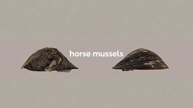 Video Reference: Triangle, Font, Wood, Rock, Fashion accessory, Art, Wildlife, Illustration, Monochrome photography, Metal