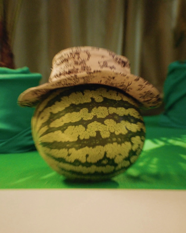 Video Reference: Hat, Table, Green, Organism, Wood, Headgear, Cap, Terrestrial plant, Tints and shades, Sombrero