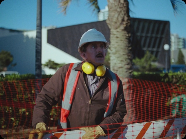 Video Reference: Plant, Sky, Tree, Building, Window, Leisure, Tartan, Construction worker, Blue-collar worker, Personal protective equipment